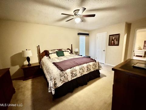 2730 Cedar Bluff Dr, Nesbit, MS 38651 photo 12
