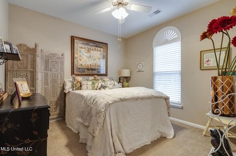 6261 Cheyenne Dr, Olive Branch, MS 38654 photo 27