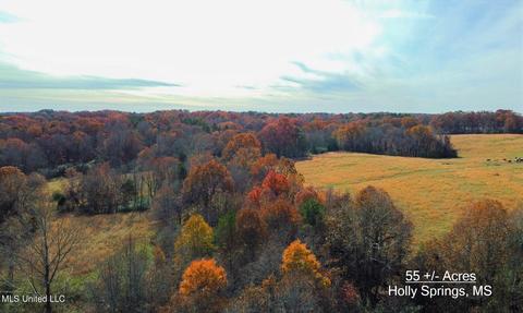 3 Old Hwy 7, Holly Springs, MS 38635