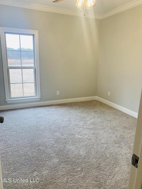 816 Glenwild Cir, Canton, MS 39046 photo 17