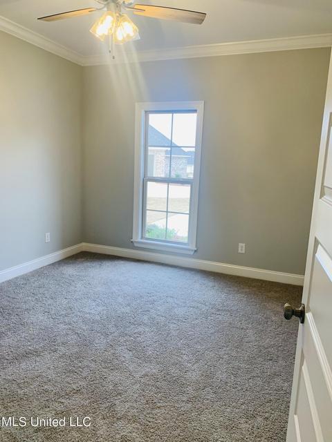 816 Glenwild Cir, Canton, MS 39046 photo 19