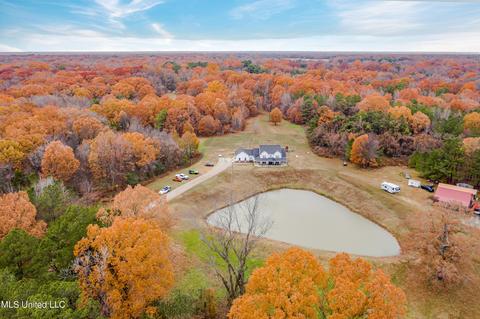 3860 Nesbit Rd, Nesbit, MS 38651 photo 10