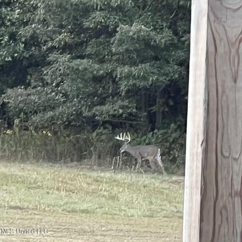 3860 Nesbit Rd, Nesbit, MS 38651 photo 6