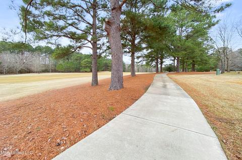 10 Provence Blvd, Madison, MS 39110 photo 3