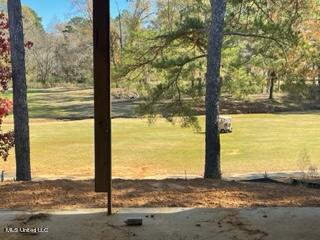 154 Pine Ridge Cir, Brandon, MS 39047 photo 3