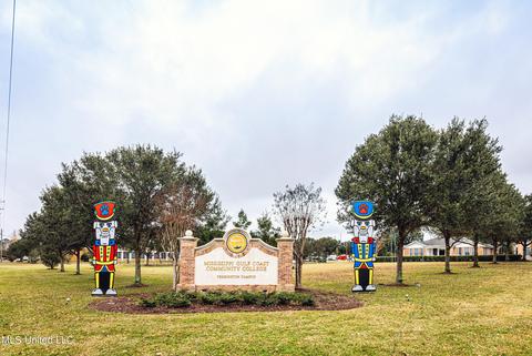 24 2nd St, Perkinston, MS 39573 photo 98