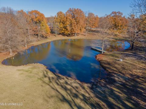 2275 Getwell Rd, Nesbit, MS 38651 photo 73