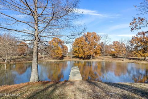 2275 Getwell Rd, Nesbit, MS 38651 photo 74