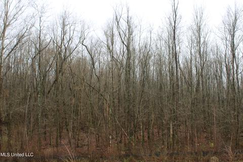 0 Holly Springs Rd, Hernando, MS 38632 photo 18