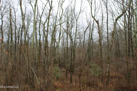 0 Holly Springs Rd, Hernando, MS 38632 photo 14