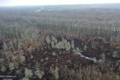 0 Holly Springs Rd, Hernando, MS 38632 photo 9