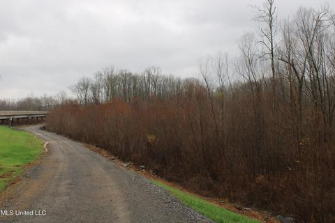 0 Holly Springs Rd, Hernando, MS 38632 photo 13