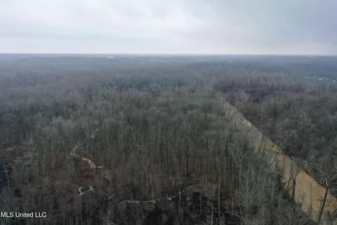 0 Holly Springs Rd, Hernando, MS 38632 photo 10