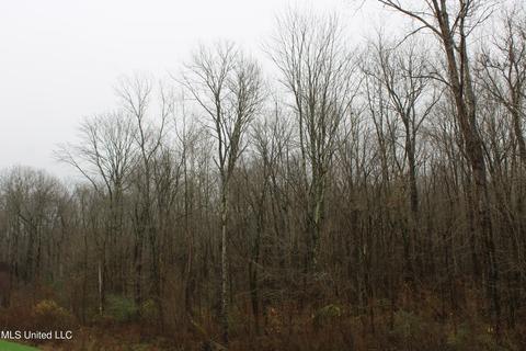 0 Holly Springs Rd, Hernando, MS 38632 photo 19