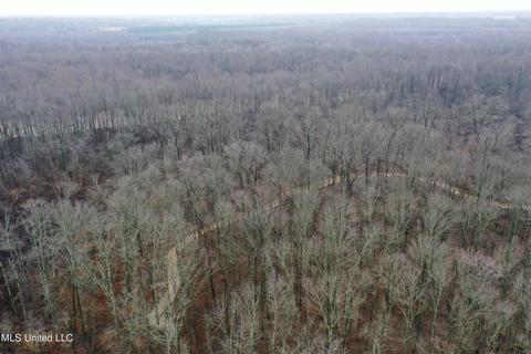 0 Holly Springs Rd, Hernando, MS 38632 photo 8