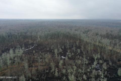 0 Holly Springs Rd, Hernando, MS 38632 photo 6