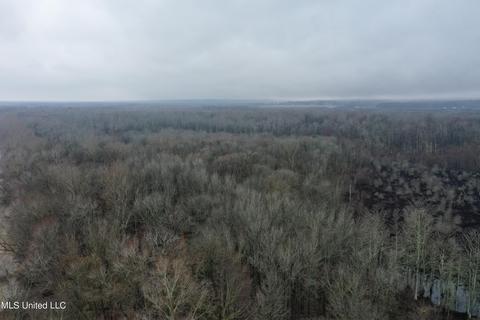 0 Holly Springs Rd, Hernando, MS 38632 photo 3