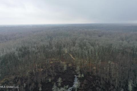 0 Holly Springs Rd, Hernando, MS 38632 photo 11