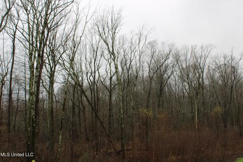 0 Holly Springs Rd, Hernando, MS 38632 photo 16