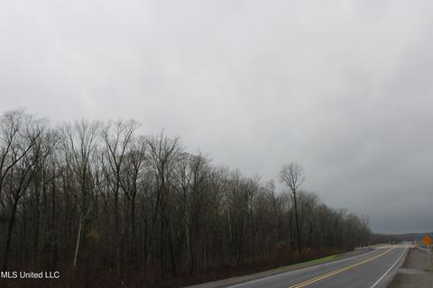 0 Holly Springs Rd, Hernando, MS 38632 photo 17