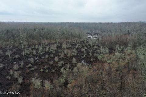 0 Holly Springs Rd, Hernando, MS 38632 photo 2