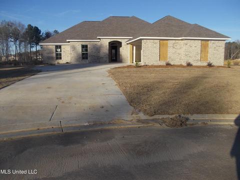 114 Brunswick Cv, Canton, MS 39046 photo 3