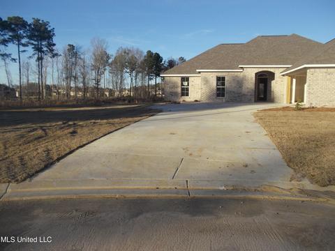 114 Brunswick Cv, Canton, MS 39046 photo 1