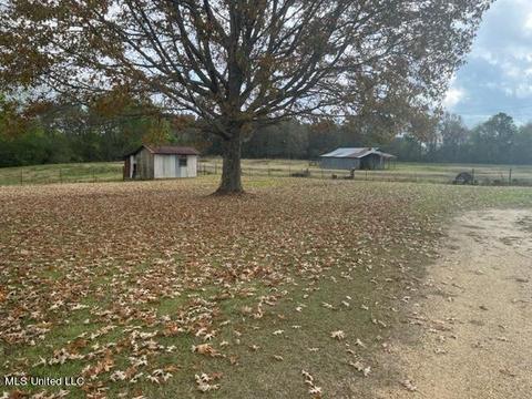 418 Scr 70, Mize, MS 39116 photo 11