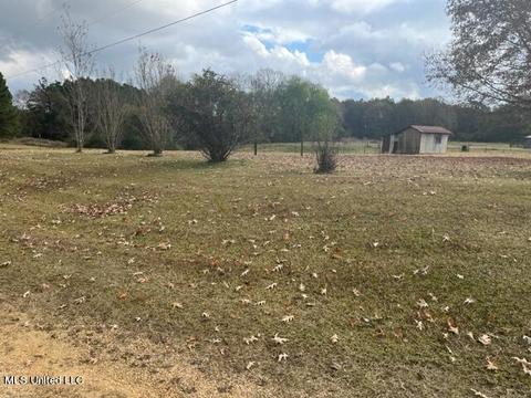 418 Scr 70, Mize, MS 39116 photo 6