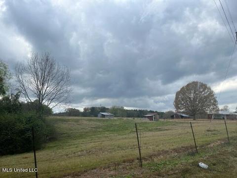 418 Scr 70, Mize, MS 39116 photo 30