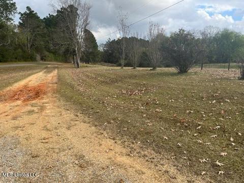 418 Scr 70, Mize, MS 39116 photo 7