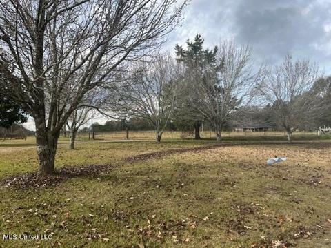 418 Scr 70, Mize, MS 39116 photo 8