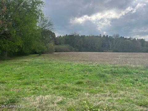 418 Scr 70, Mize, MS 39116 photo 31