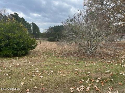 418 Scr 70, Mize, MS 39116 photo 29