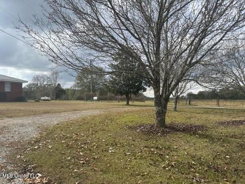 418 Scr 70, Mize, MS 39116 photo 9