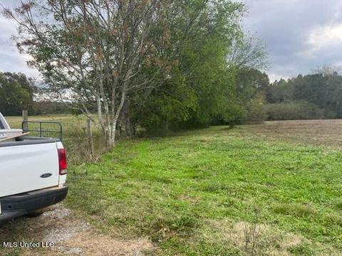 418 Scr 70, Mize, MS 39116 photo 32