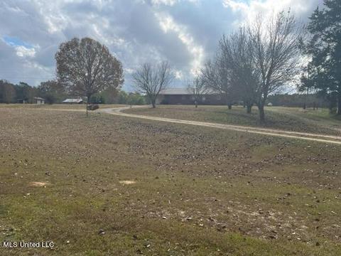 418 Scr 70, Mize, MS 39116 photo 2