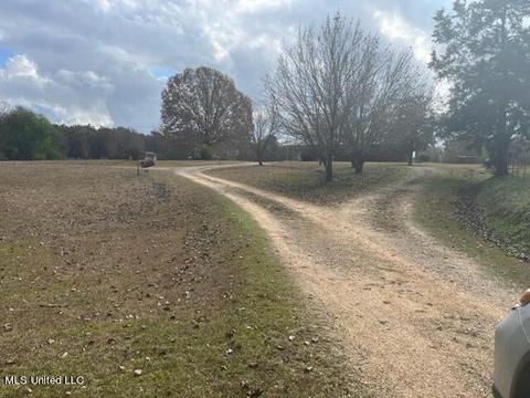 418 Scr 70, Mize, MS 39116 photo 4