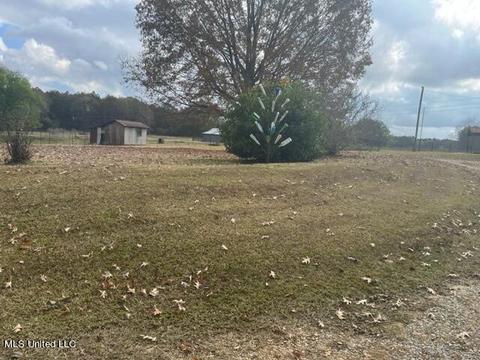418 Scr 70, Mize, MS 39116 photo 5