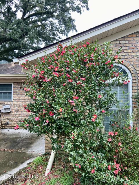 5325 Lakeview Dr, Moss Point, MS 39563 photo 5