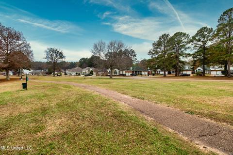 247 Bayview Dr, Madison, MS 39110 photo 33