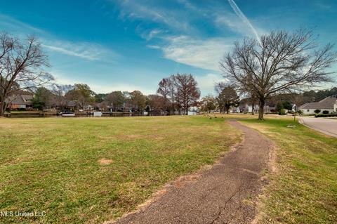 247 Bayview Dr, Madison, MS 39110 photo 35