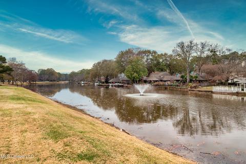 247 Bayview Dr, Madison, MS 39110 photo 40