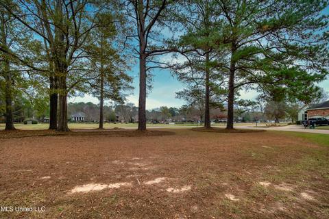 247 Bayview Dr, Madison, MS 39110 photo 36