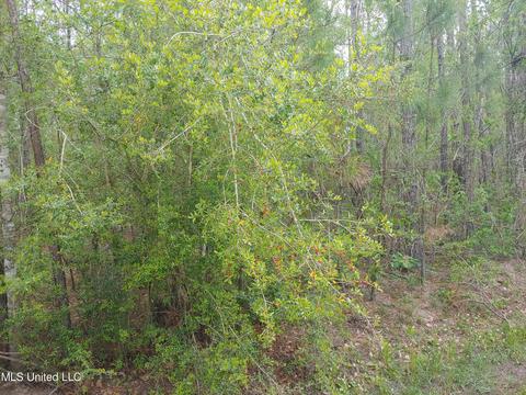 6187 E Quitman St, Bay Saint Louis, MS 39520