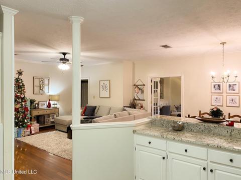511 Springhill Dr, Madison, MS 39110 photo 6