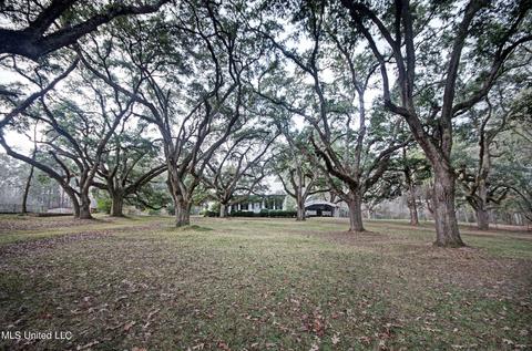 12887 Springridge Rd, Terry, MS 39170 photo 1