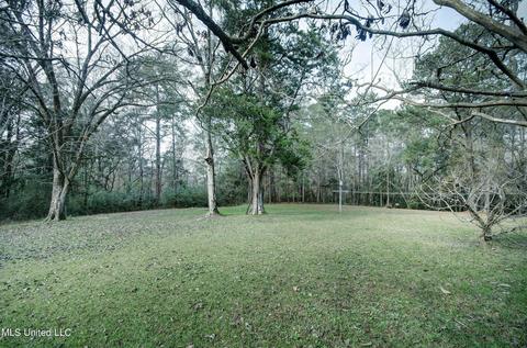 12887 Springridge Rd, Terry, MS 39170 photo 10