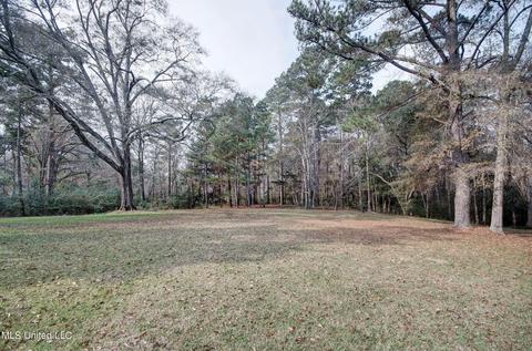 12887 Springridge Rd, Terry, MS 39170 photo 13