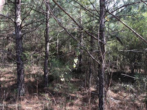 Hearst Road, Starkville, MS 39759